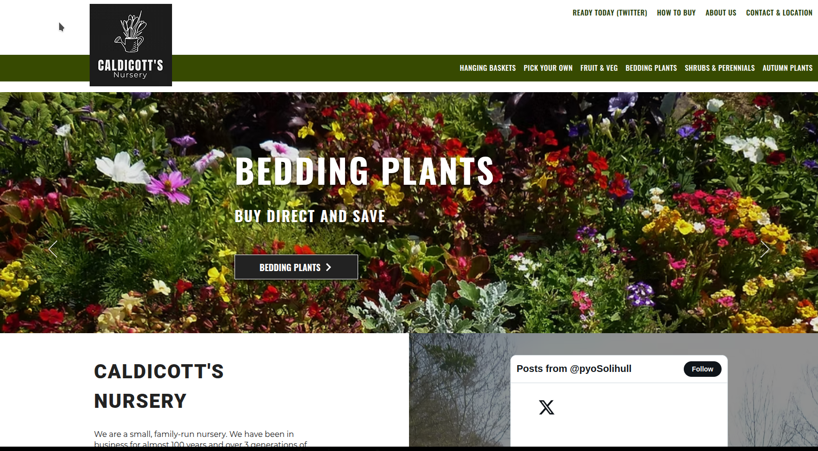 Caldicott's Nursery Homepage